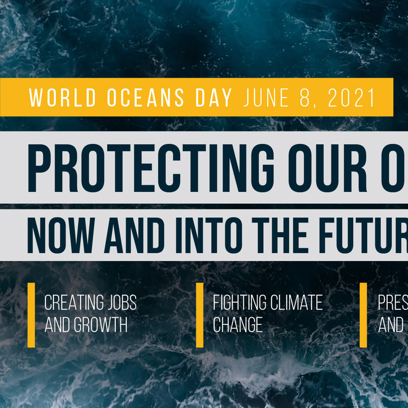 Social Media Graphic - World Ocean Day